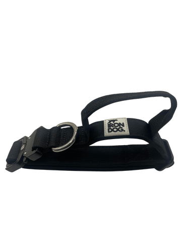 Irondog® Control Collar – 2.5 cm - BUDDYBOTTLE